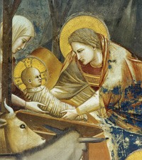 Giotto di Bondone | Nativity: Birth of Jesus