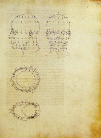 Proiezioni di una testa scorciata dal de Prospectiva Pingendi, ante 1482, Milano, Biblioteca Ambrosiana