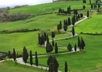 Cypress-Lined Montichiello Road, south of Pienza, Val d'Orcia, Tuscany