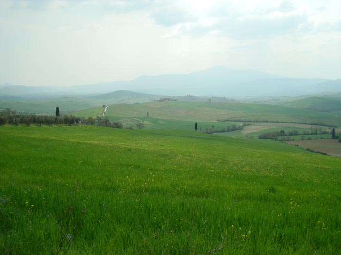 Val d'Orcia, between Pienza and San Quirico d'Orcia